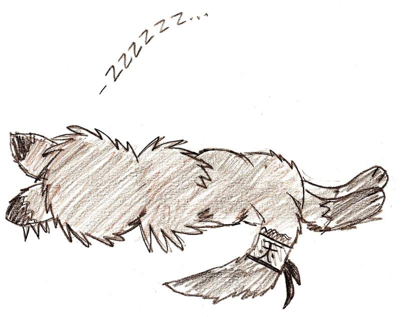 sleep