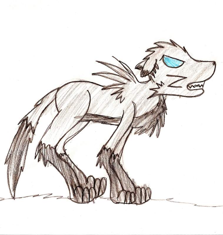 GRRRRR!