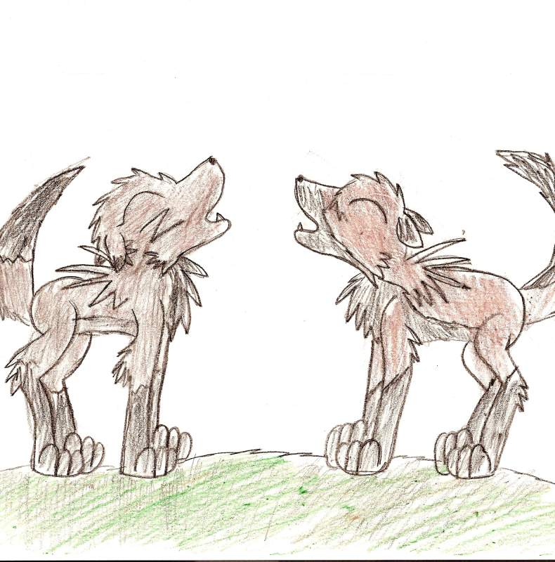 Balto an' Molly