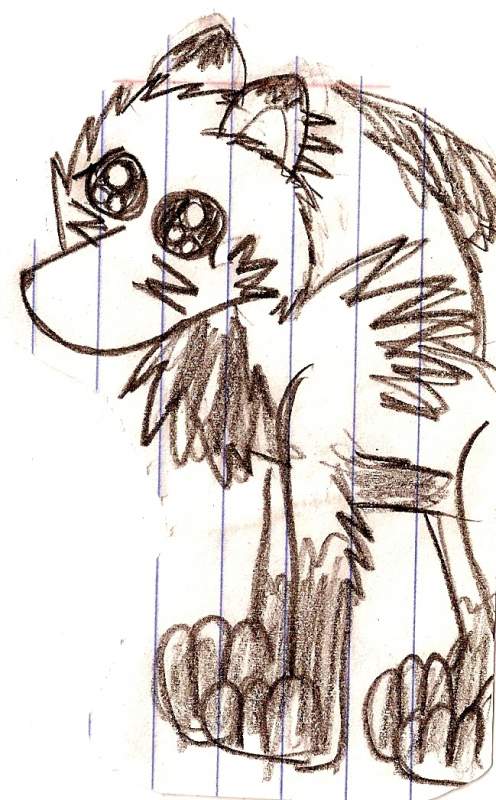 Puppy