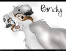 Bindy