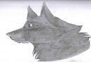 Fox or fennec?
