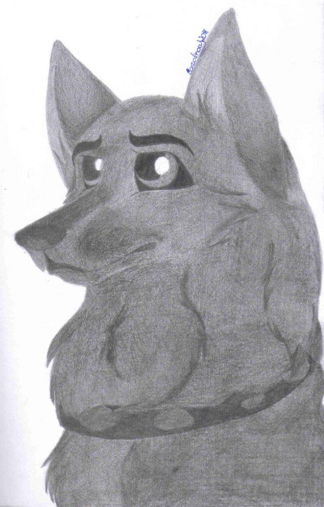 Blan potrait