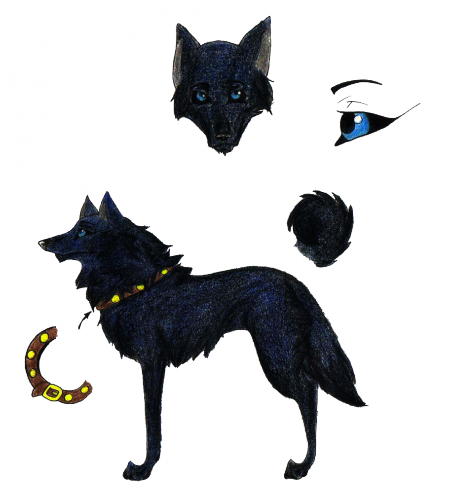 Blan Character Sheet