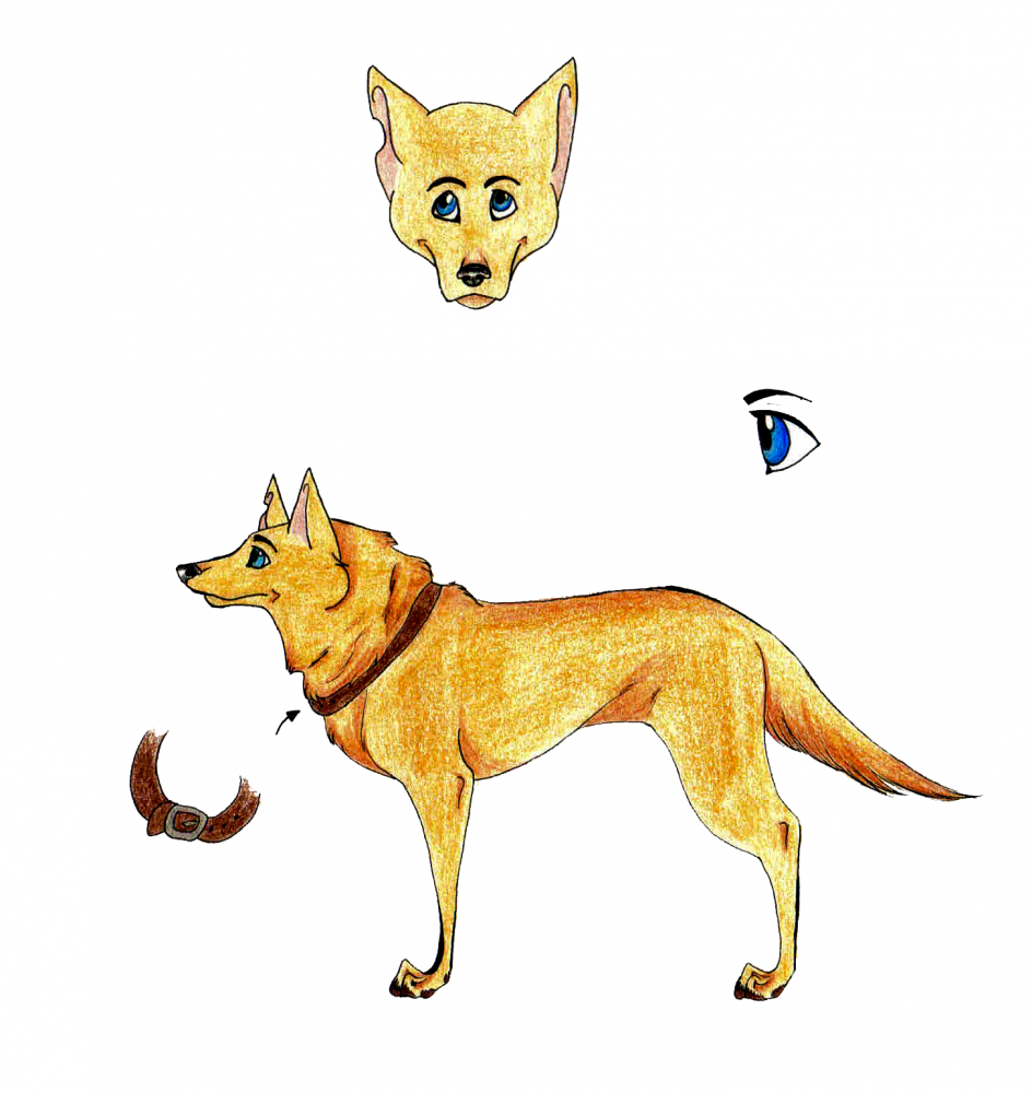 Goldust Character Sheet