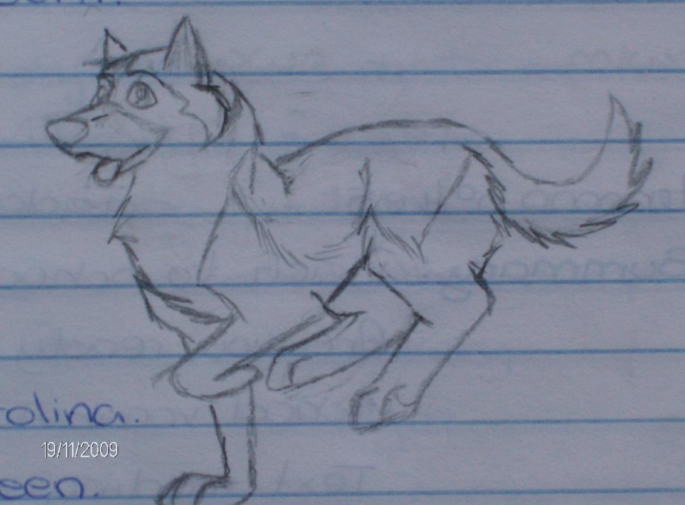 A Dog