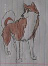 Kushi