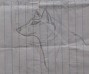 Math Test