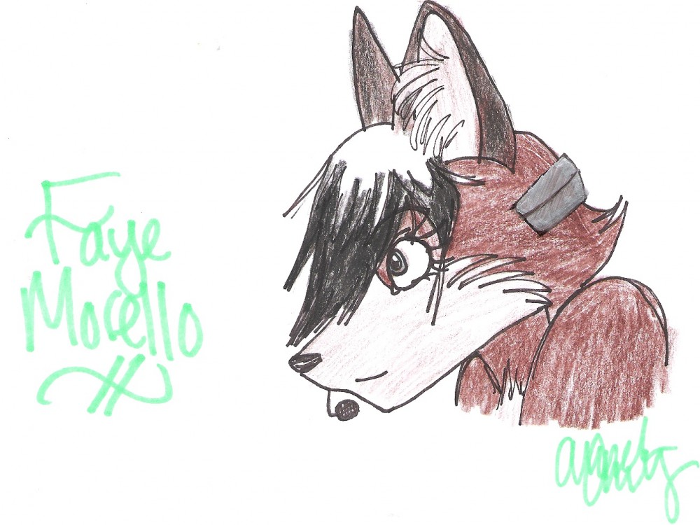 Faye Morello