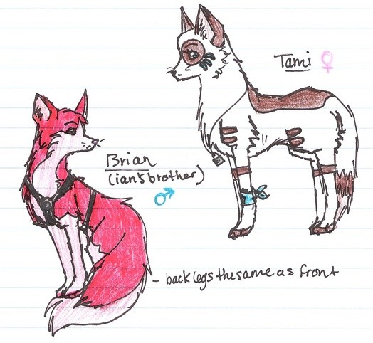 tami and brian (UP FOR ADOPTION)