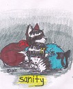 sanity-cover/teaser