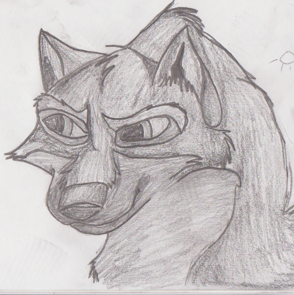 Balto Shaded (hand Drawing)