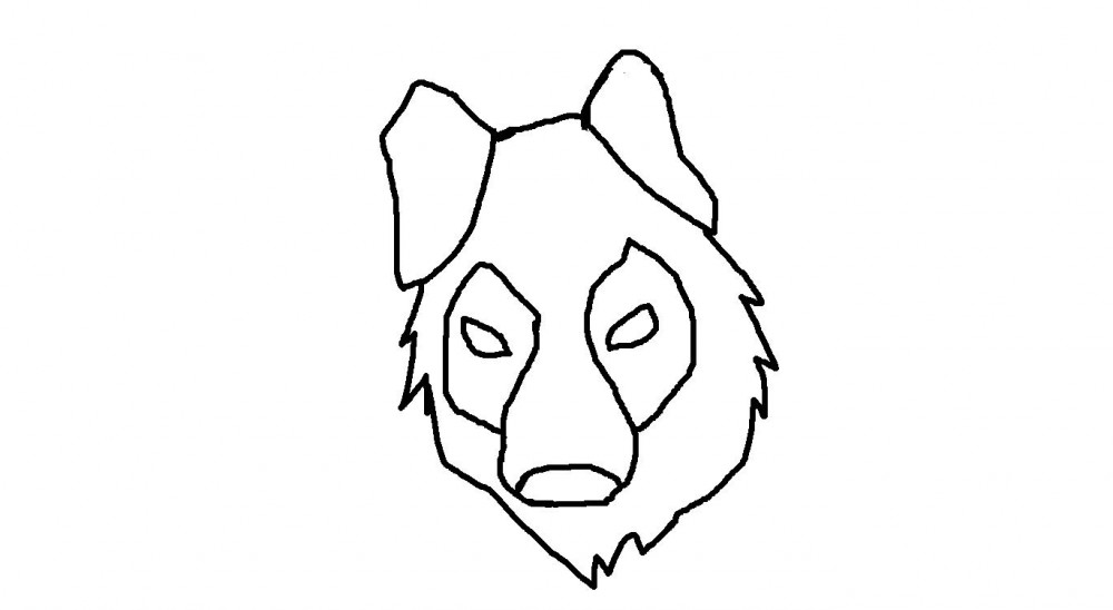 My dog
