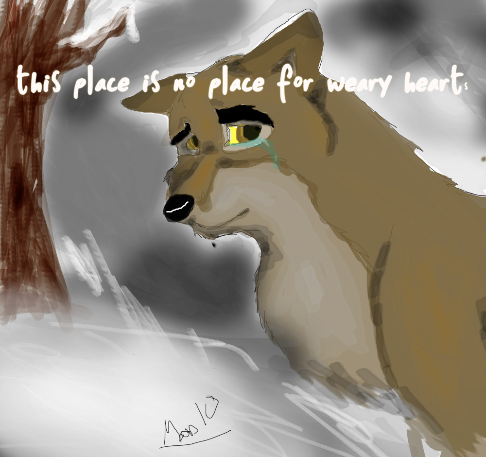 This is no place for weary hearts