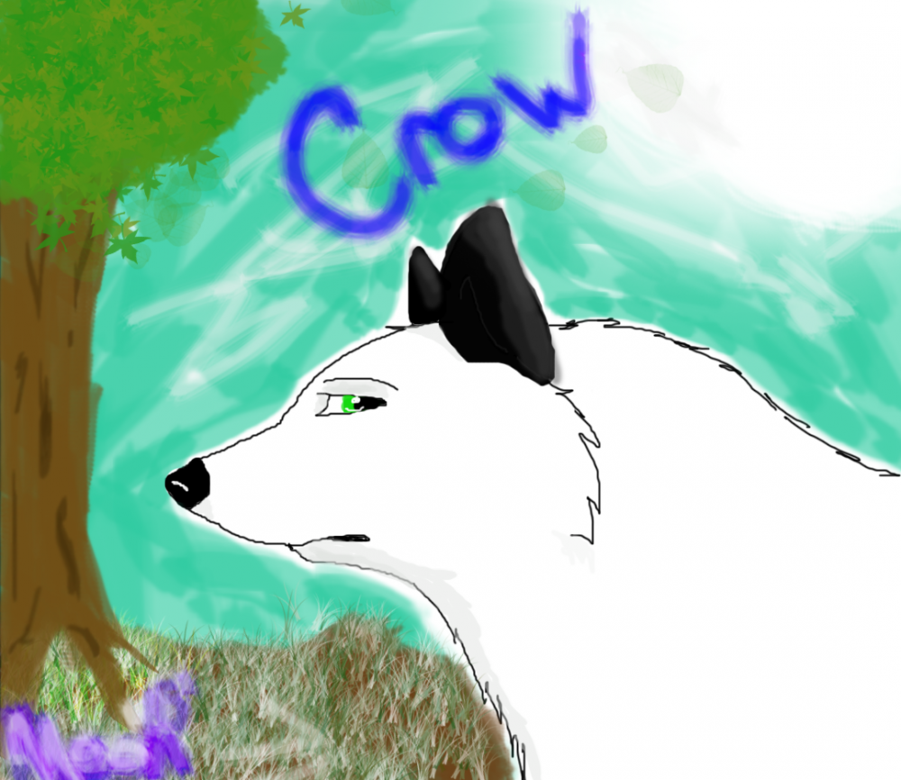 Trade on DA