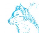 Wolf Wip 