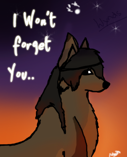 I won't forget you...