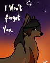I won't forget you...