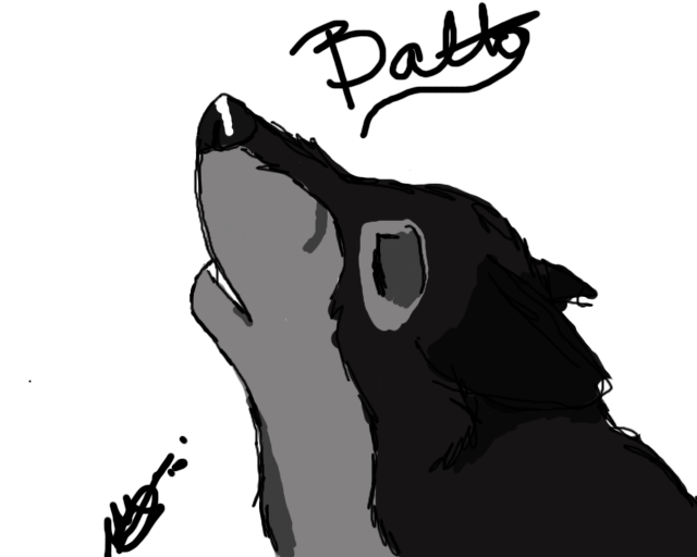 BALTOOO!!