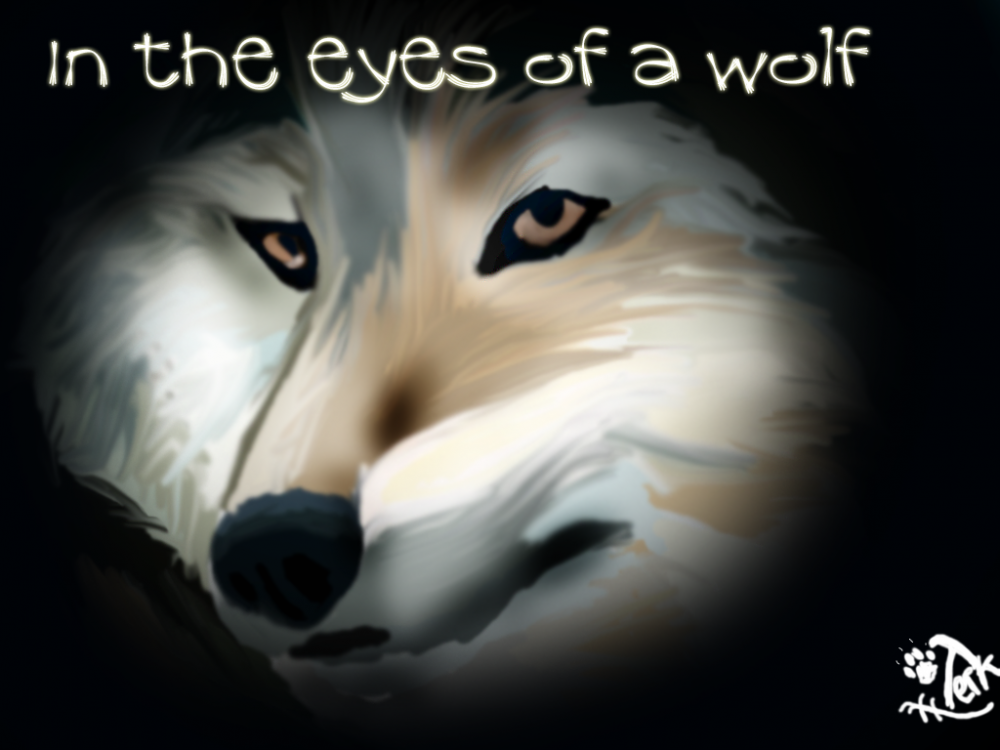 In the eyes of the wolf