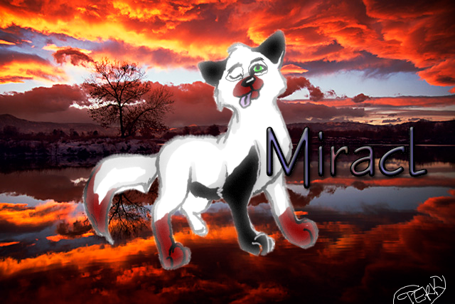 *Request* Miracl