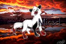 *Request* Miracl
