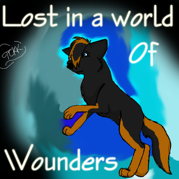 *request*  Lost in a world of Wounders