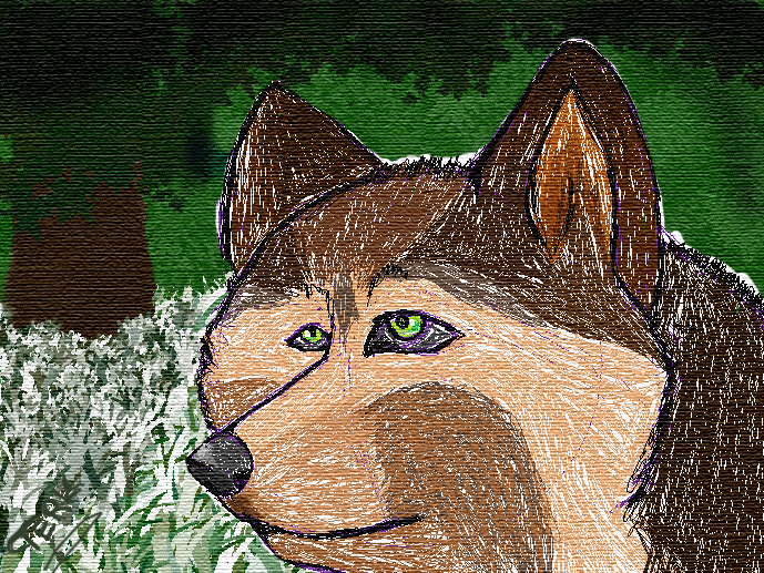 Castle canvis/ms paint ^^