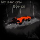 My broken bones