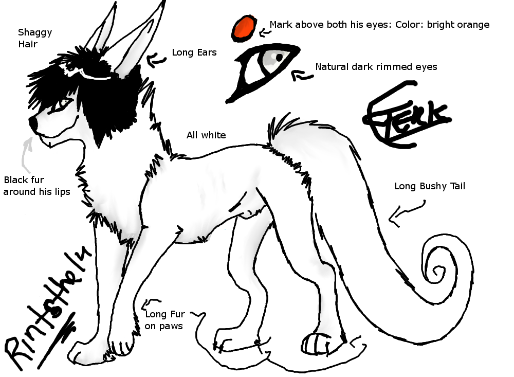 Rintsthelu Character Sheet 