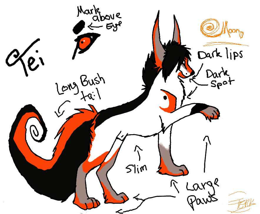 Tei Body reff