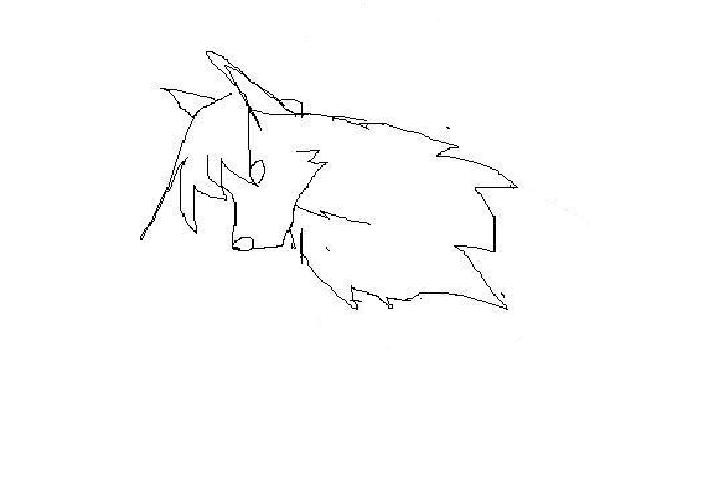 A wolf.