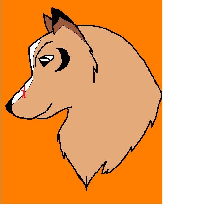 Prize for wolflover10!!