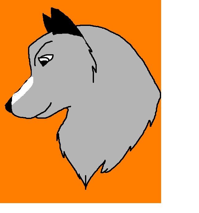 Prize for wolflover10