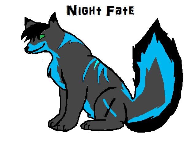 Night Fate