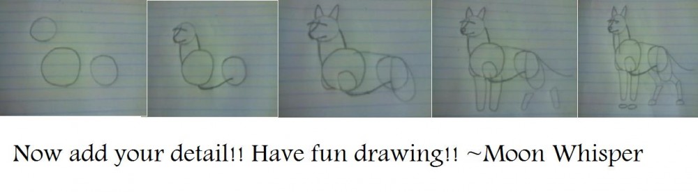 Learn to draw!!