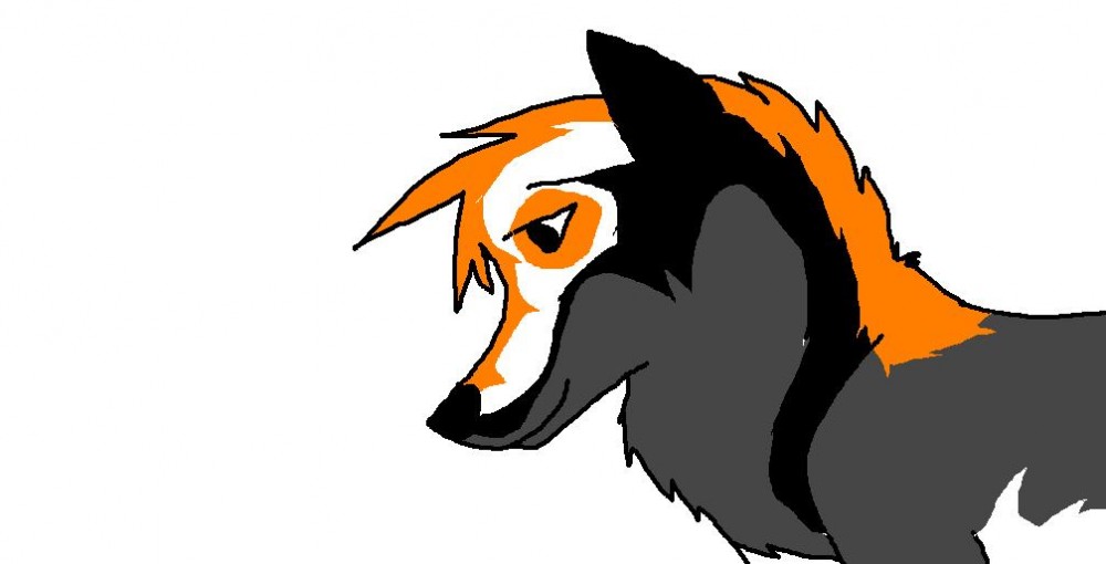 Contest entry 