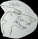 Steele Drawing