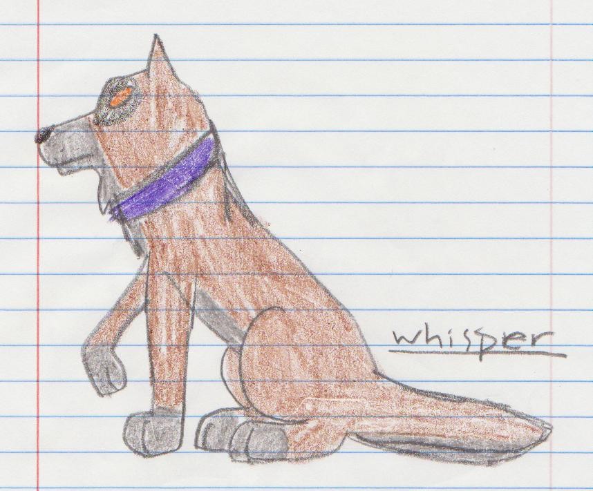 Old Wolf for adoption.