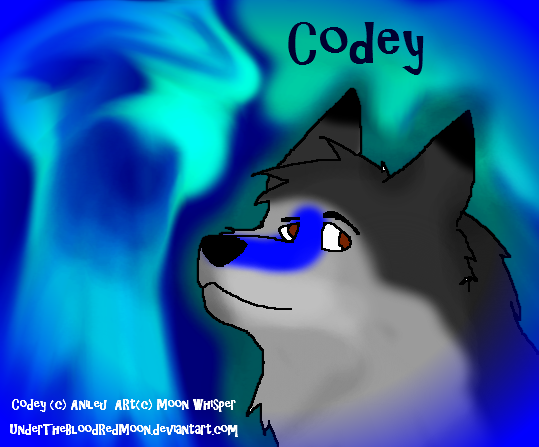 *Art Trade* Codey for anileu