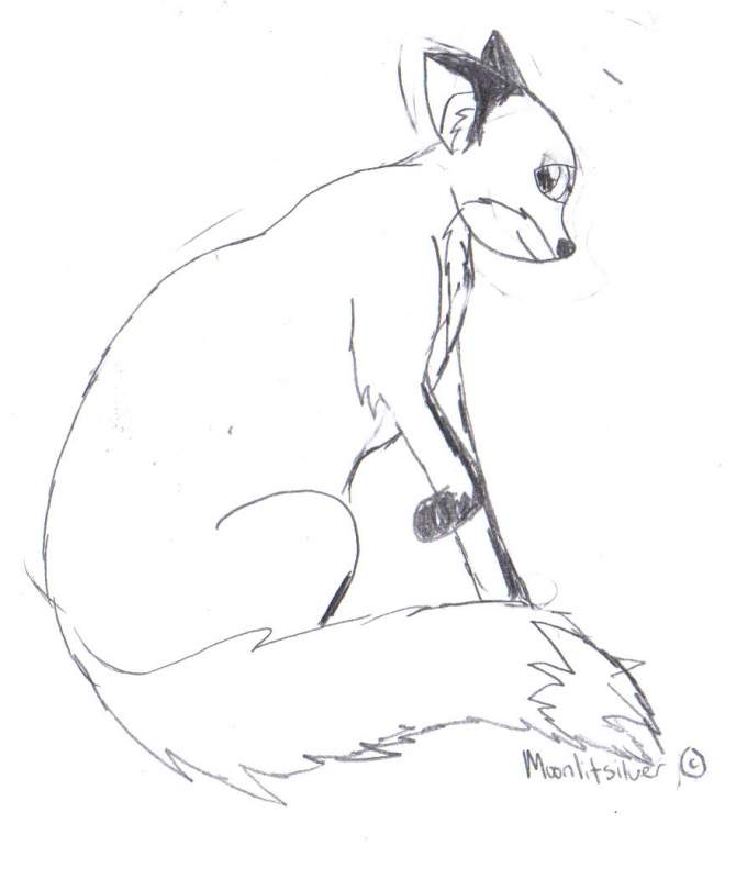 Red Fox