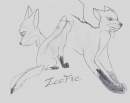 IceFire the wolf demon