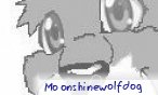 moonshinewolfdog