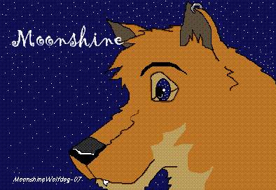 Moonshine