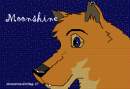 Moonshine