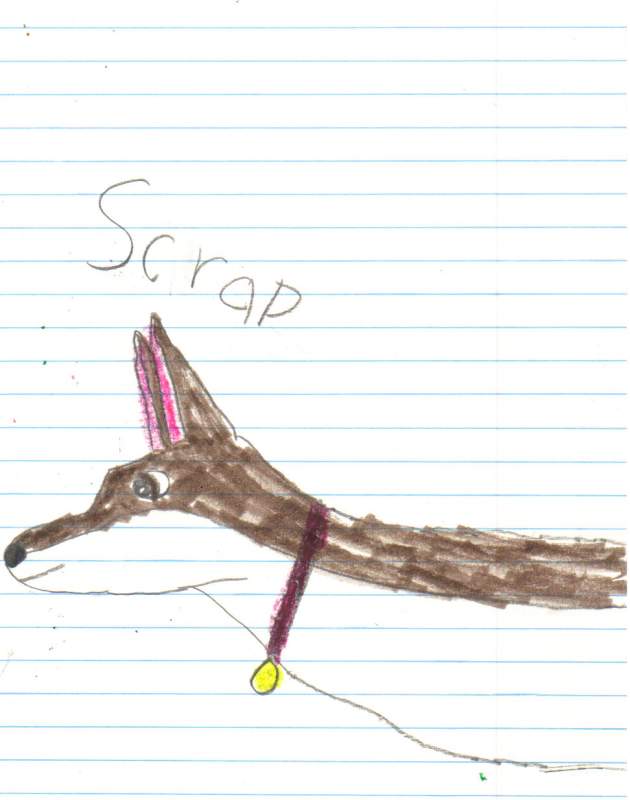 scrap