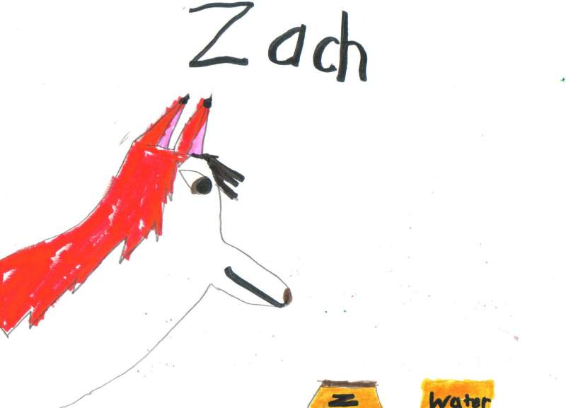 Zach