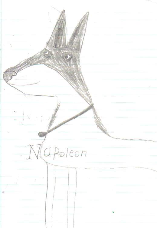 napoleon