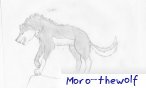 moro_thewolf