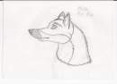 Fell the fox